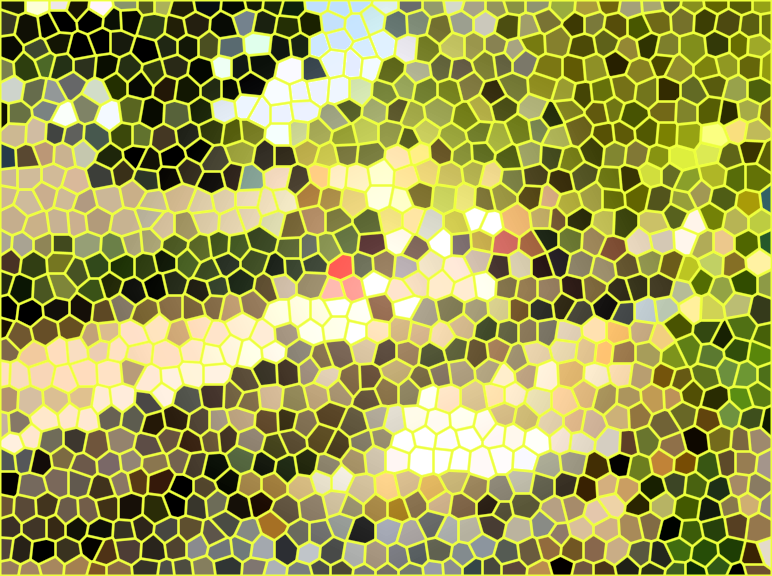 image.png