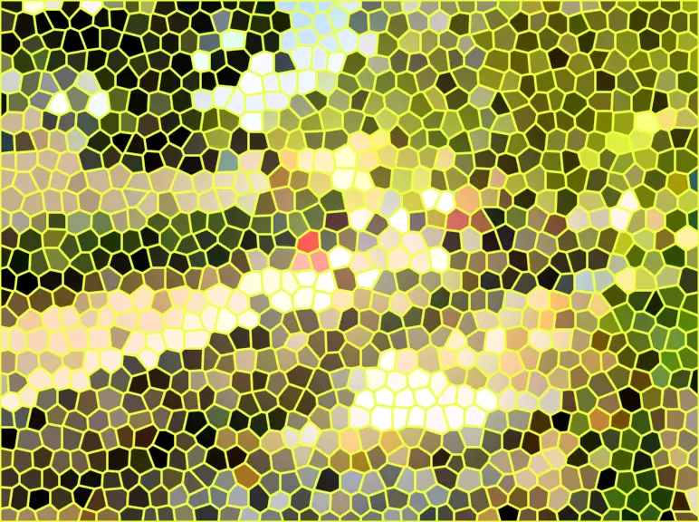 image.webp