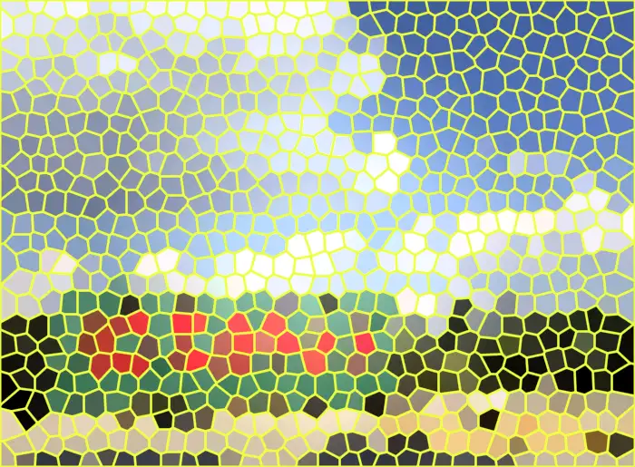 image.webp