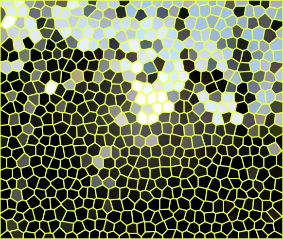image.webp
