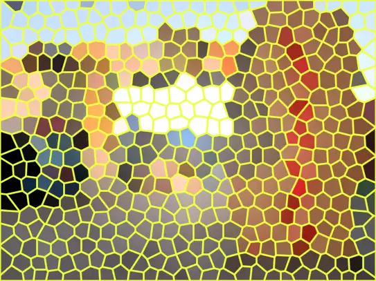 image.webp