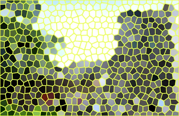 image.webp