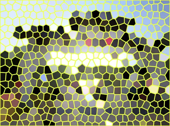 image.webp