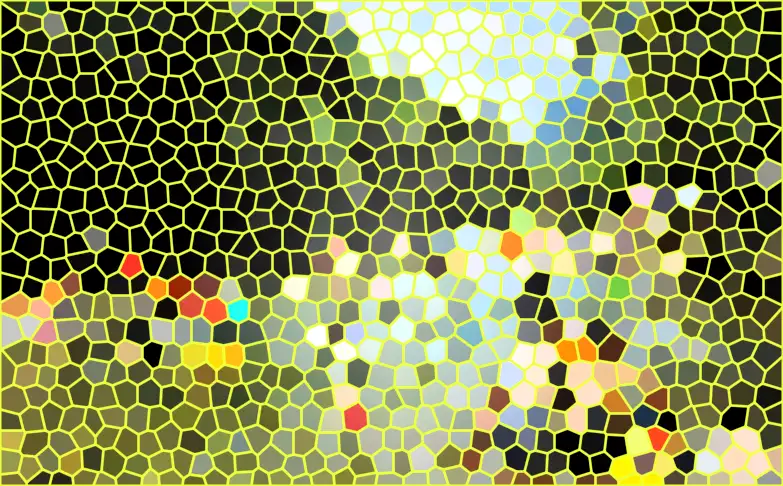 image.webp