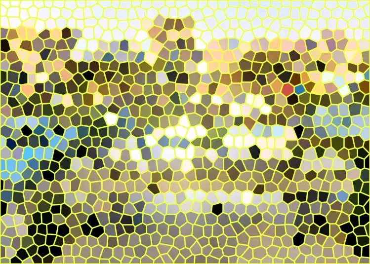 image.webp