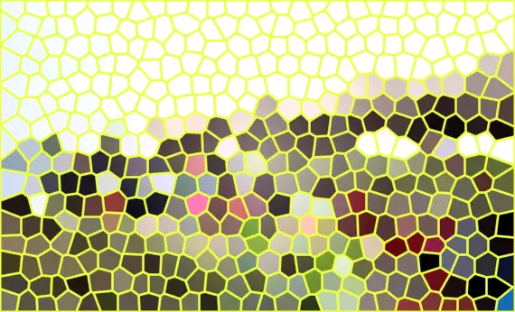 image.webp