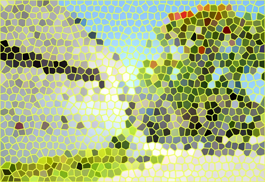image.webp