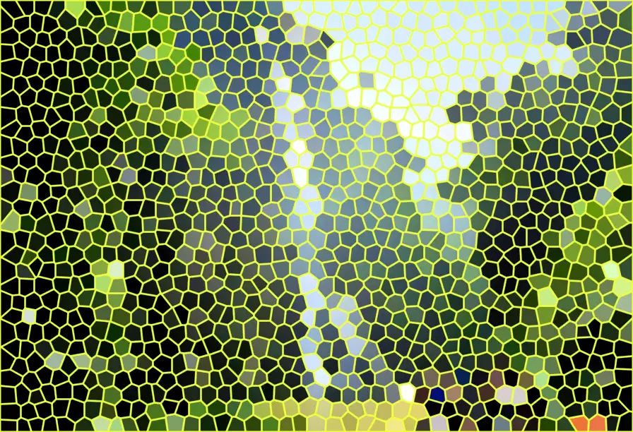 image.webp