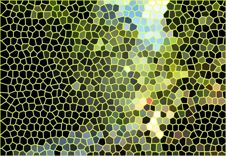 image.webp