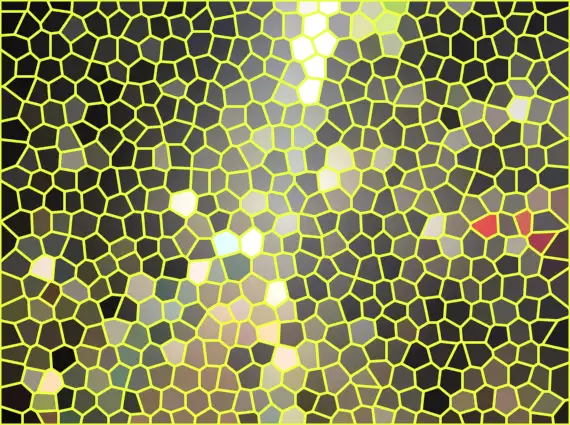 image.webp