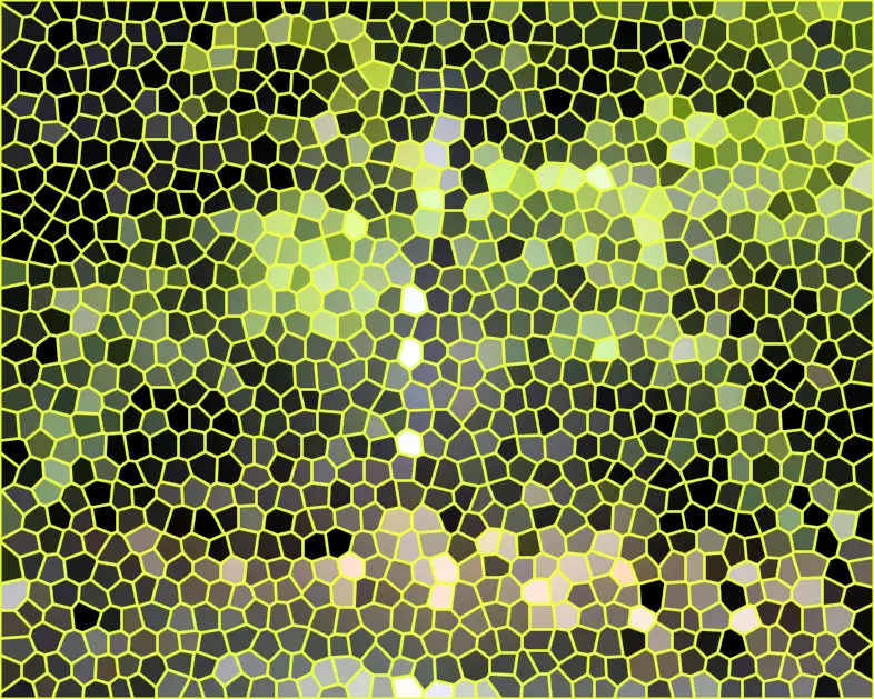 image.webp