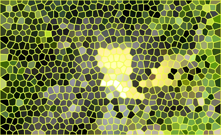 image.webp