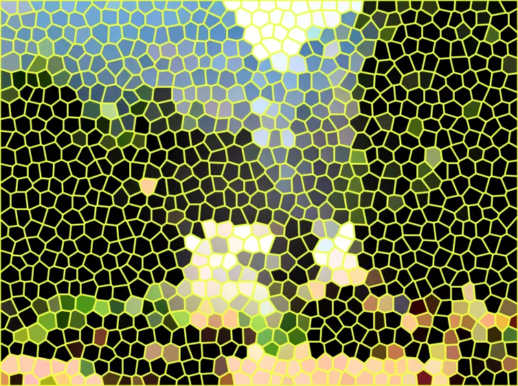 image.webp