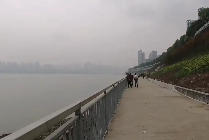 image.webp
