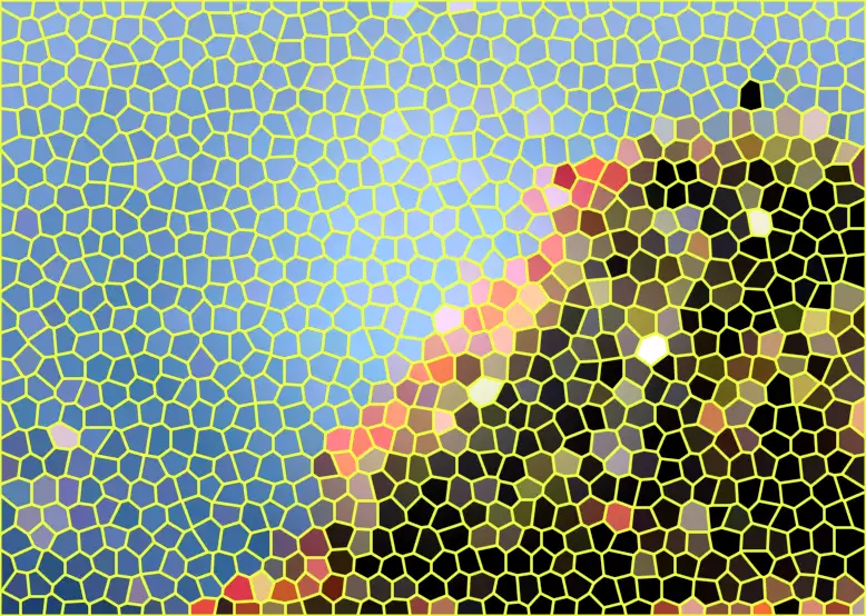 image.webp