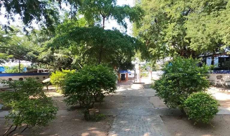 image.webp