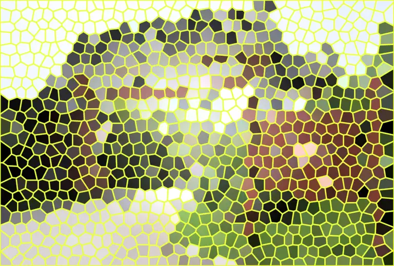 image.webp