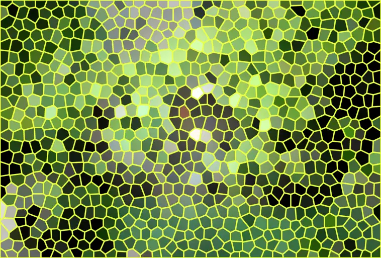 image.webp