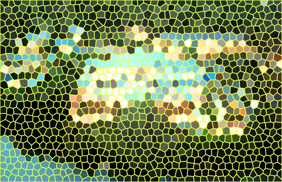 image.webp