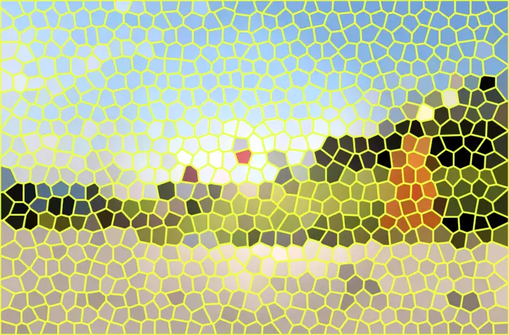 image.webp