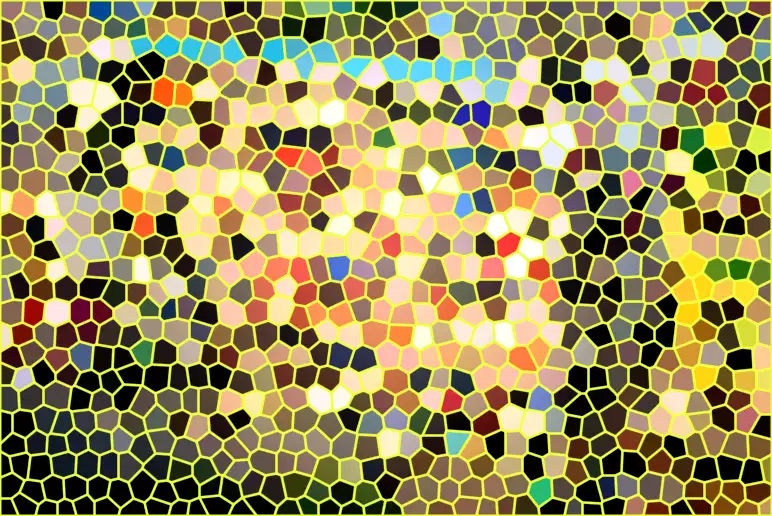 image.webp