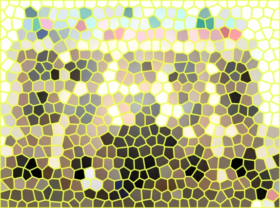 image.webp