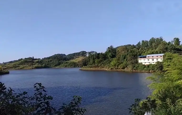 image.webp