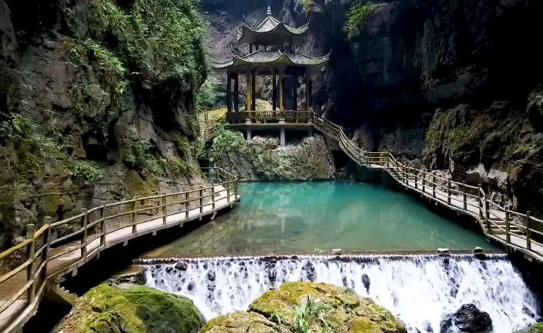 image.webp