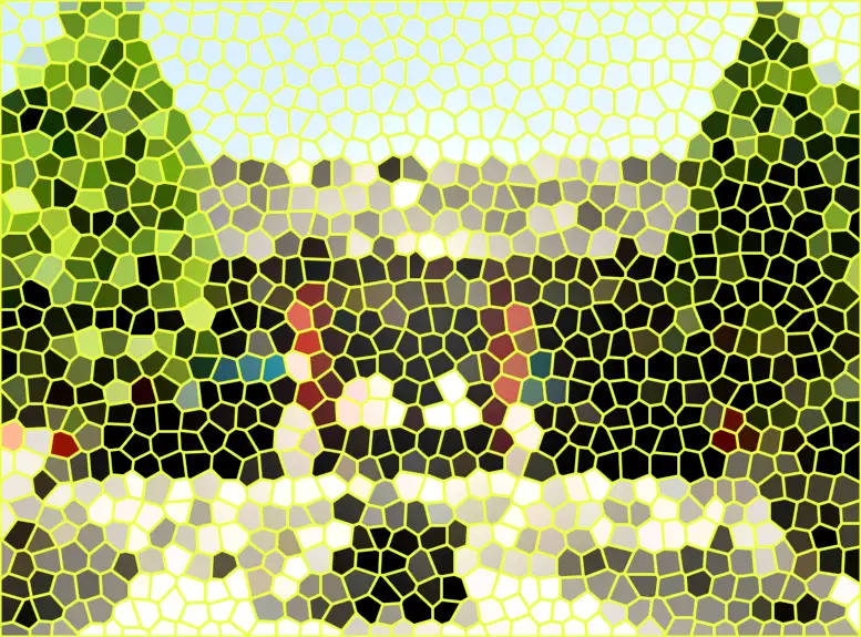 image.webp