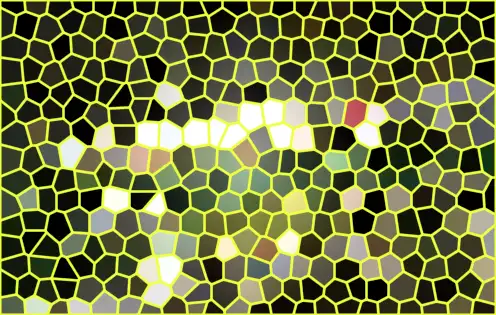 image.webp