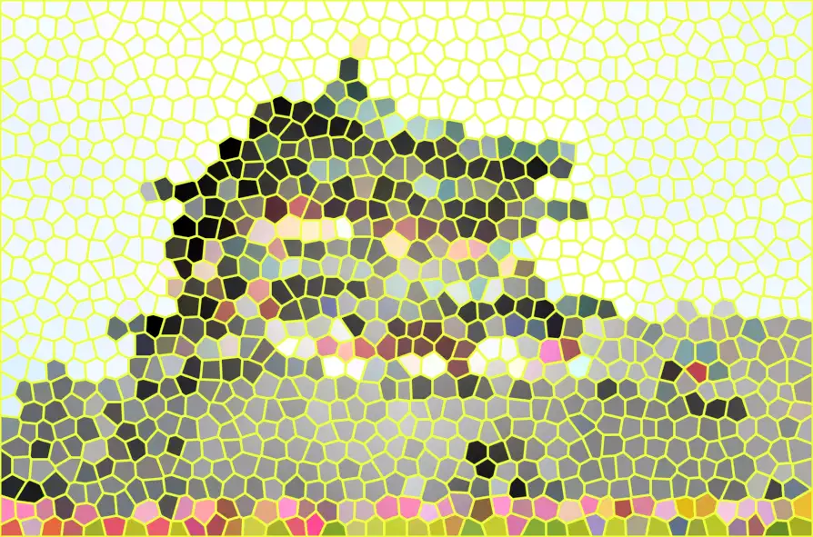 image.webp