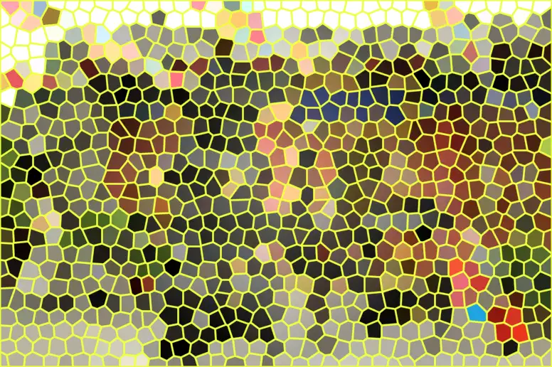 image.webp