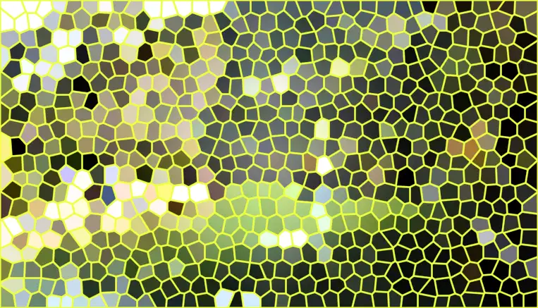 image.webp