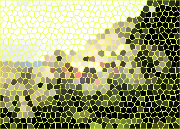 image.webp