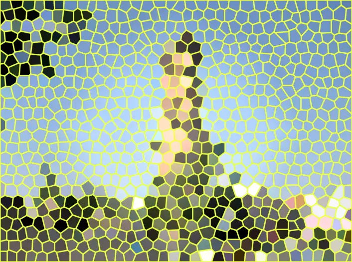 image.webp