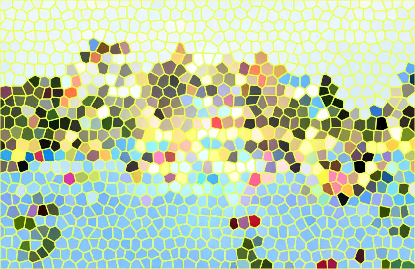 image.webp