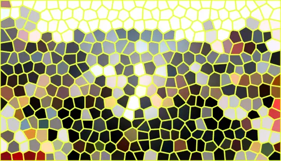 image.webp