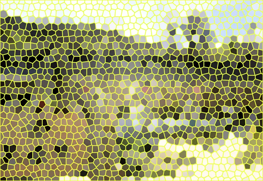 image.webp