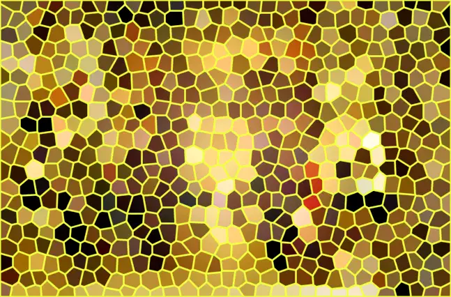 image.webp