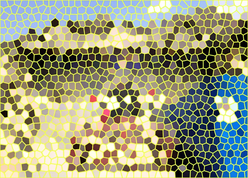 image.webp