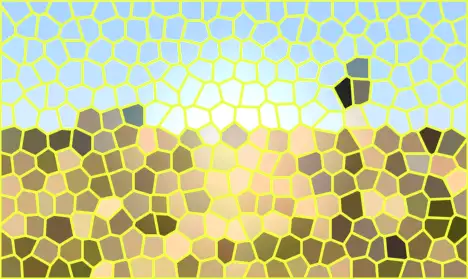 image.webp