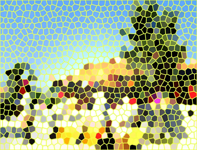 image.webp