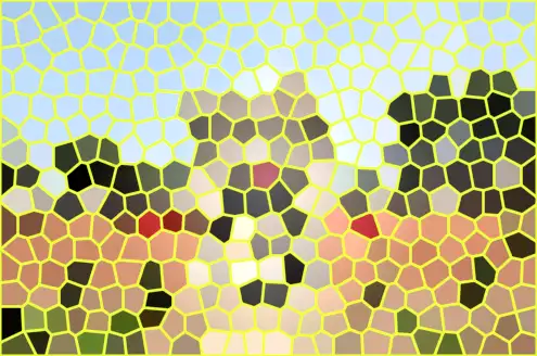 image.webp