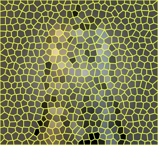 image.webp