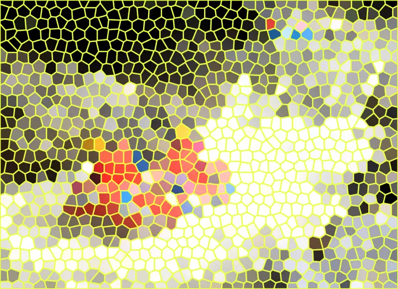 image.webp