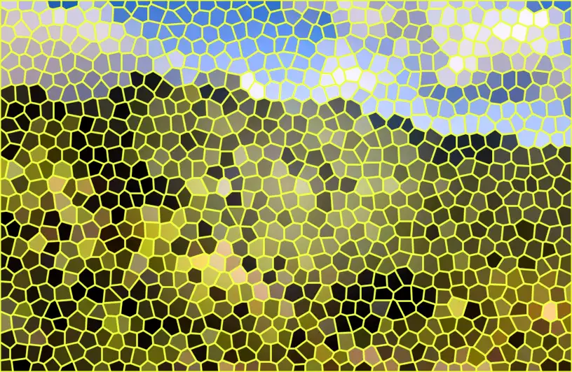 image.webp