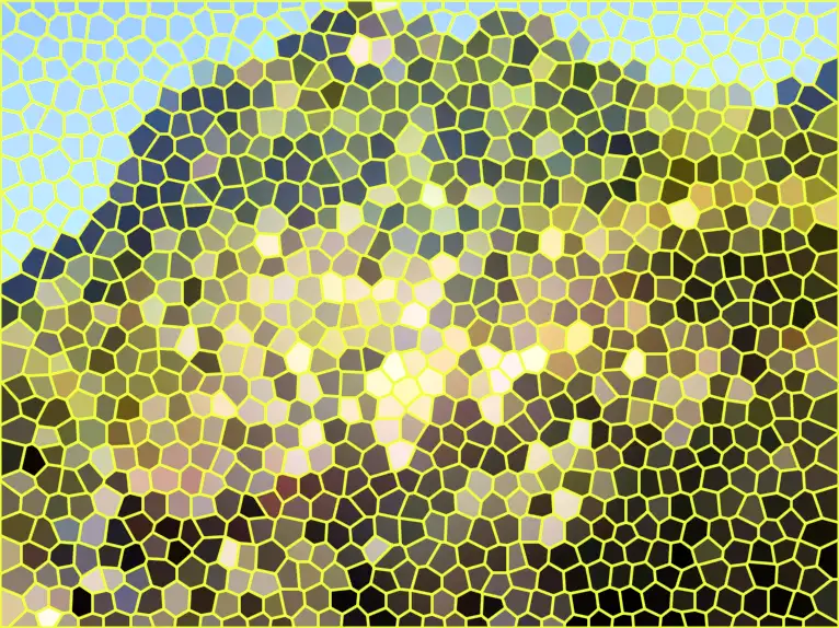 image.webp