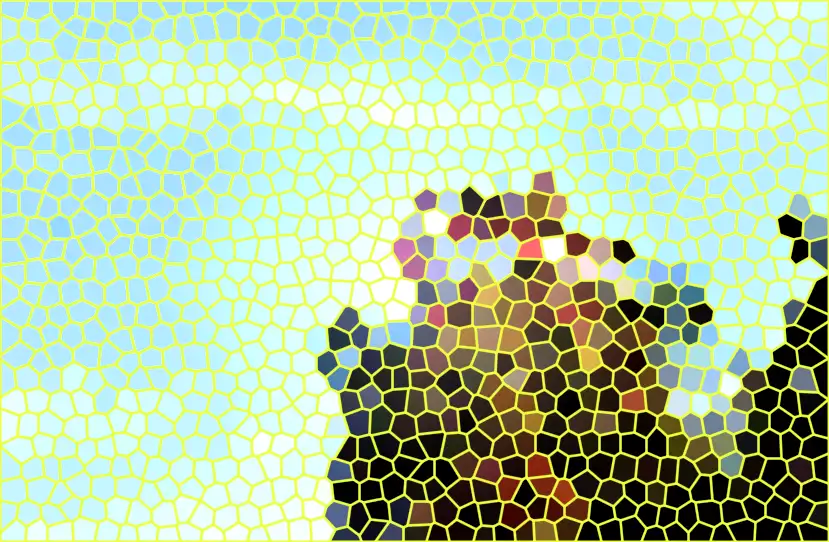 image.webp
