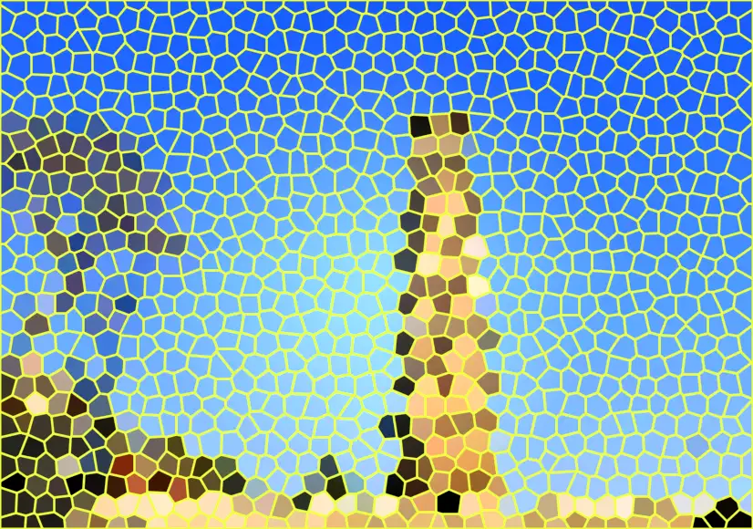 image.webp
