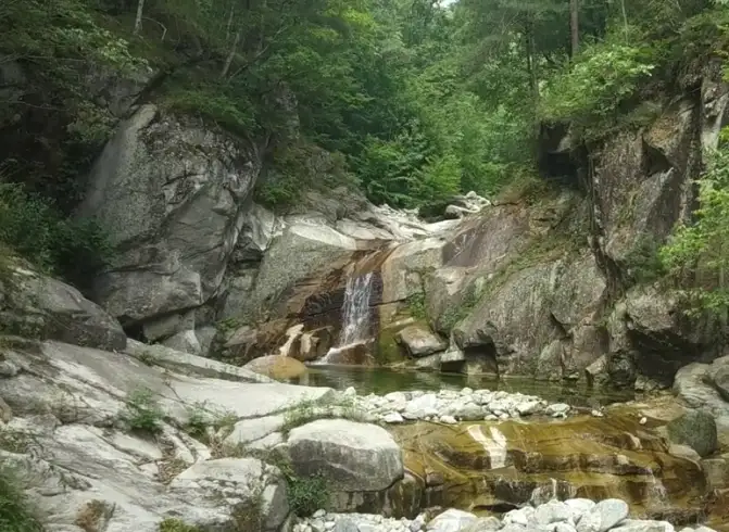 image.webp